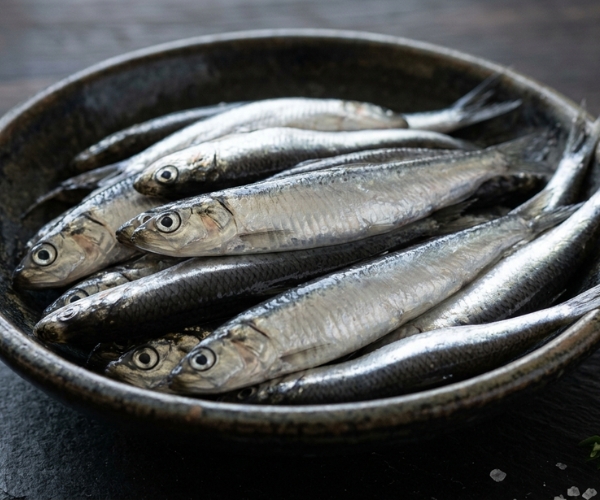 Anchovies — small fish with no mercury accumulation, rich in omega-3