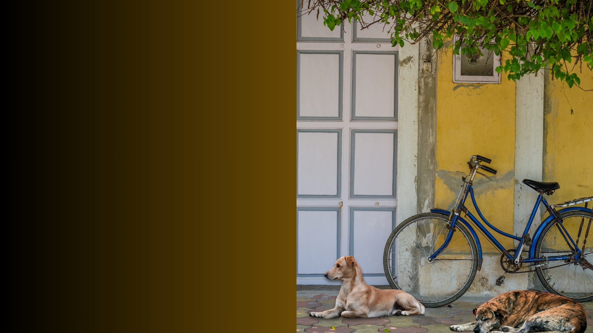 UNDERSTOOD - made in Pondicherry, biology first