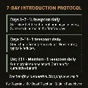 24.webp
