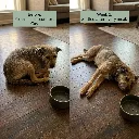 Amazon listing toppers 2000x2000.webp