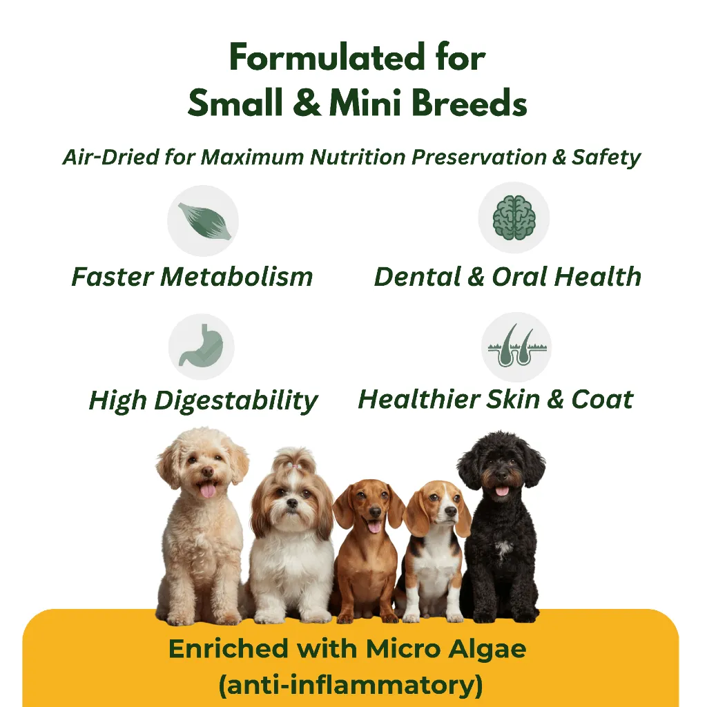 Amazon Listing (4).webp