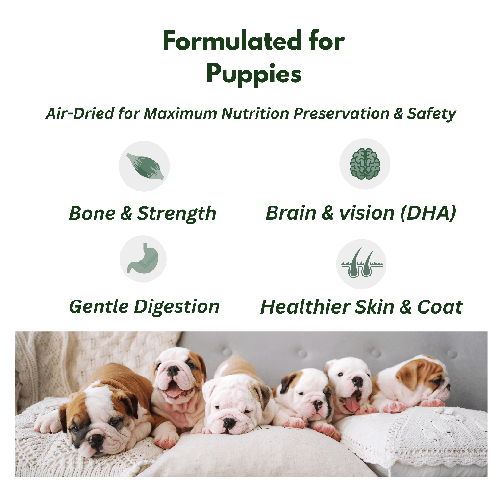 Dog-o-Meal Puppy Benefits.png