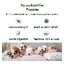 Dog-o-Meal Puppy Benefits.png