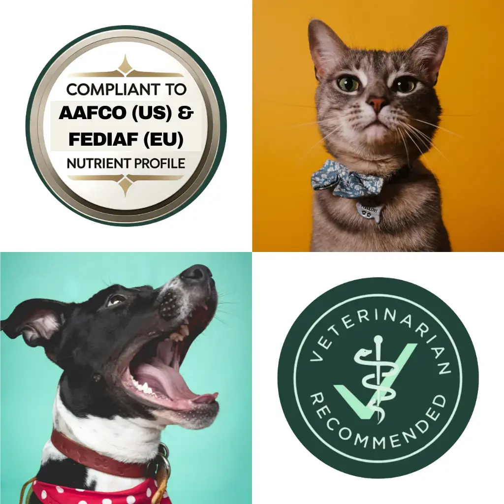 Add a subheading (3).webp