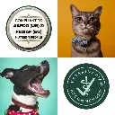 Add a subheading (3).webp